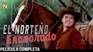 El Norteño Enamorado 1979  Tele N  Película Completa  Cornelio Reyna [upl. by Zullo61]