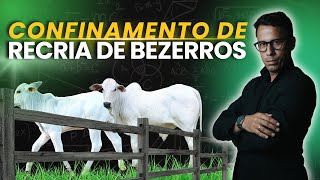 Como fazer CONFINAMENTO de RECRIA de BEZERROS [upl. by Ethel]