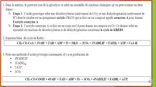 2 BAC  Résumé du 1 chapitre  la libération de lénergie emmagasinée dans la matière organique [upl. by Artenak482]