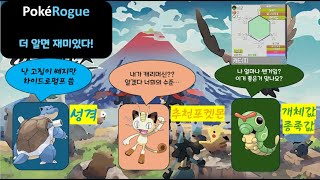 포케로그 공략 1부 설정타입성격종족값개체값추천포켓몬까지 [upl. by Clemmie]