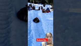 Shimla snow Fall shimlasnowfall shimla shimlatrip ytshortsvideo youtubeshorts shorts [upl. by Rushing]