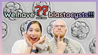 How many blastocysts made it to Day 5 —Mini STIM IVF with ICSI Ep005 [upl. by Einre]