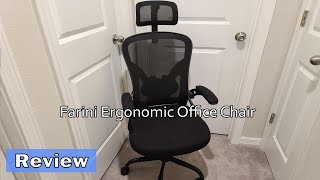 Farini Ergonomic Office Chair Review [upl. by Neiluj526]