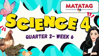 SCIENCE 4 Quarter 2 Week 6 Life Cycle of Different Organisms MATATAG Curriculum [upl. by Ahsemrac980]