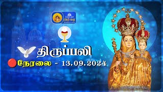 🔴 LIVE  Holy Mass in Tamil  13th September 2024  Annai Vailankanni Shrine  Besant Nagar Annai [upl. by Nuahsed]