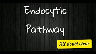 Endocytic pathway [upl. by Eimile]