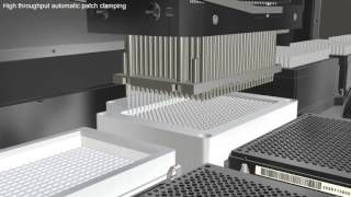 High throughput screening on Qube 384 [upl. by Nosylla]