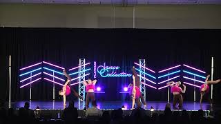 Platinum Performance  PDC Cincinnati OH 2024 [upl. by Ruder]