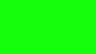 CINEMATIC FLASH EFFECT GREEN SCREEN Blinking [upl. by Severen48]