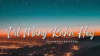 Dil Mang Raha Hai Mohlat  Slowed  Reverb  Lofi [upl. by Dranyam]