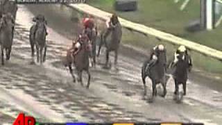 Raw Video Names Make for Hilarious Horse Race [upl. by Padriac103]