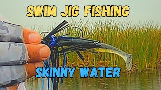 Swamp Serenity Bass Fishing Delight in the Everglades with Swim Jigs [upl. by Enamrahc]