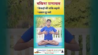 Bhastrika pranayama lungs health short2024 😀 Breathing exercise [upl. by Aruon167]