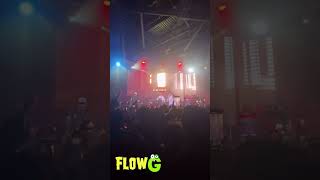 FLOW G SKUSTA CLEE  PAUWI NAKO live [upl. by Anizor]