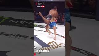 Must Watch KOs Brutal MMA Knockouts Compilation [upl. by Ilyah]