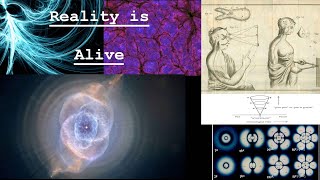 Consciousness Being and Animacy Whitehead Bergson and the Bifurcation of Nature [upl. by Aivital]