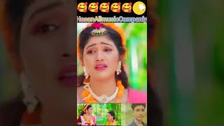 মেয়েটা যে বড়ই পাখি বেলায় দিছে প্রেম রোগ kobetuminaamdhoredakbe song sanuar [upl. by Lena982]