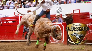 ¡ASI SE VIVE EL TRADICIONAL TORO DE ONCE SEGUNDO DOMINGO DE TORO DE ONCE EN CARNAVAL AUTLAN 2024 [upl. by Florette]