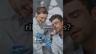 What Are Ribosomes Cells Protein Factories Explained biology facts cellbiology education [upl. by Eelame500]