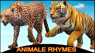 Tiger Finger Family  Lion Cheetah 3D Animated Finger Family Rhymes For Babies  Animals Cartoons [upl. by Latsyrhc]