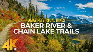 4K Virtual Hike Near River through the Forest  Baker River Trail amp Chain Lake Trail [upl. by Dionis]