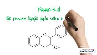 Classes de Flavonoides [upl. by Anelem]