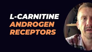 LCarnitine Androgen Receptors [upl. by Ihculo]