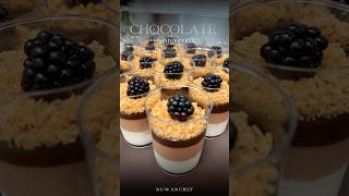 Chocolate panna cotta nuwanchef dessertrecipes recipe trandingshorts music cover song recipe [upl. by Yatnwahs603]