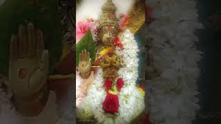 Kondagattu Anjaneya Swamy song 🔥 💥 ✨ 📿 🙏🙏 [upl. by Nehepts753]