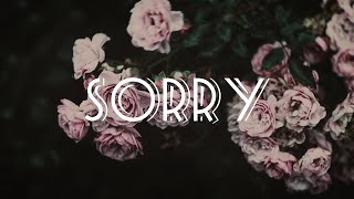 Sorry Halsey  Cover [upl. by Tenay834]