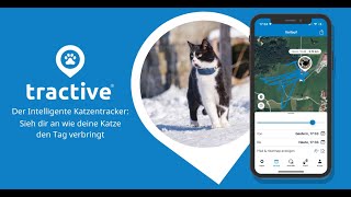 Tractive GPS CAT Tracker für Katzen [upl. by Atterys399]