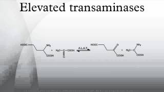 Elevated transaminases [upl. by Lubbock]