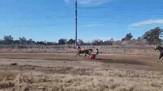 7ma CARRERA HIPÓDROMO DE CHIVILCOY  010924  1ro SS ASTUTO [upl. by Clayborne826]