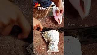 Wow Giant 🔥 Java Bhetki fish 3500grams fishkurt fishcutting shorts short youtubeshorts [upl. by Eenhpad509]