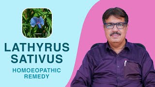 LATHYRUS SATIVUS  HOMOEOPATHIC REMEDY  EXP BY DR KEDARNATH A LONGANI MD HOM LONGANI CLINICS [upl. by Salta]