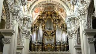 Toccata and Fugue in D Minor Best Version Ever [upl. by Edelson]