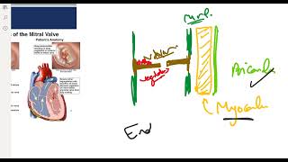 Infective Endocarditis [upl. by Anastasie]