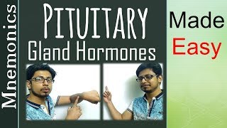 Pituitary gland hormone tricks and mnemonics [upl. by Houston878]