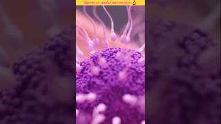 Sperm ᯡ under microscope 🔬॥shorts ytshorts microscope viralvideo [upl. by Lempres]