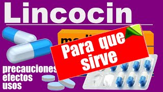 LINCOCIN trata infecciones para que sirve efectos [upl. by Hanleigh]