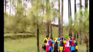 Narendra Singh Negi Song  Folk song  Garhwali Songs [upl. by Eelarac811]