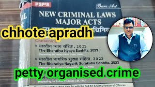 chhote apradh petty organised crime Narsingh Katiyar Advocate [upl. by Healey]