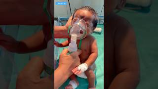 Proper Way of Nebulisationmedical newbornbaby viralvideo [upl. by Elene]