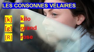 Unité 11  LES CONSONNES VÉLAIRES k g R thinkific [upl. by Eivod]