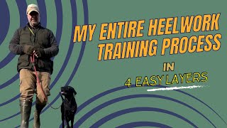 My Entire Heelwork Training Process In 4 Easy Layers [upl. by Midis226]