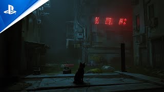 Stray  Gameplay Walkthrough  PS5 PS4 [upl. by Joiner]