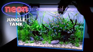 Aquascape Tutorial NEON TETRA Jungle Aquarium How To Non co2 Planted Tank Step by Step Guide [upl. by Westhead]