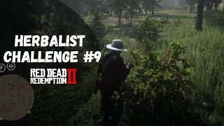 Herbalist Challenge 9 Guide  Red Dead Redemption 2 [upl. by Wind526]