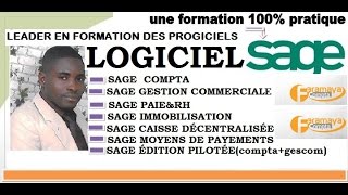 SAGE 100 IMMOBILISATION CRÉATION AUTOMATIQUE DES IMMOBILISATIONS [upl. by Olva625]