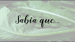 Sabia que como congelar legumes e verduras [upl. by Yluj]